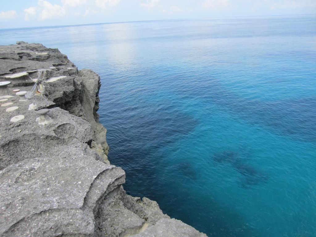 Naradas Mushroom Beach Lembongan Exterior foto